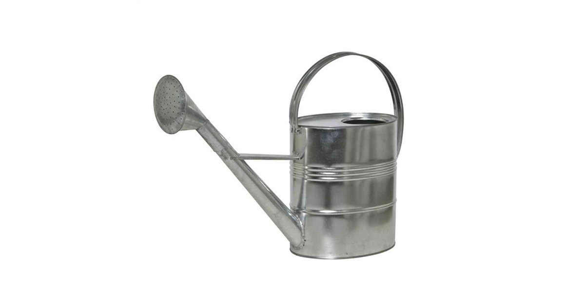 ÅKERBÄR gieter, binnen/buiten verzinkt, 2.5 l - België