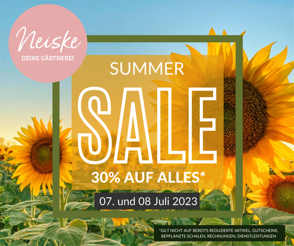 Summer Sale (1).png