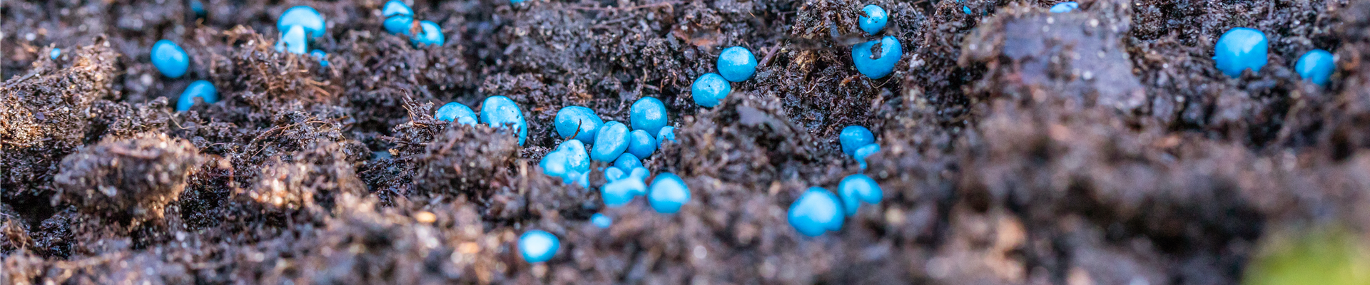 GS652747.jpg GS652747.jpg