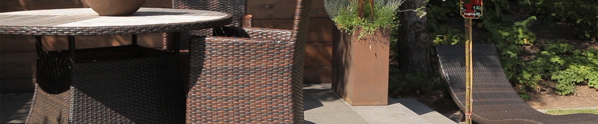 Hochstammrose - Einpflanzen in ein Gefäß (thumbnail).jpg