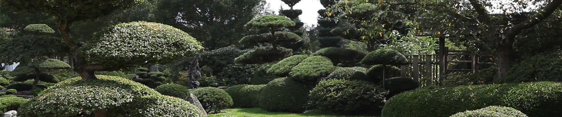 Gartengestaltung - Japan Garten (thumbnail).jpg