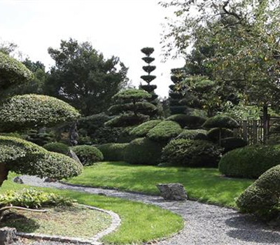 Gartengestaltung - Japangarten