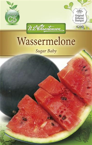 Wassermelonensamen 'Sugar Baby'