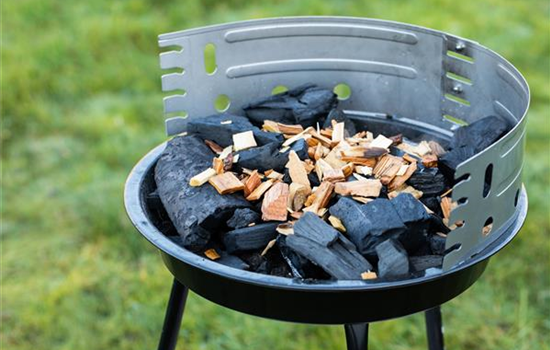 Wie trifft man beim Kauf eines neuen Grills die richtige Wahl?