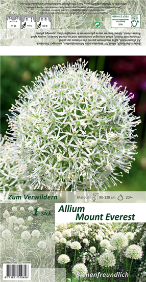 Garten-Zier-Lauch 'Mount Everest'