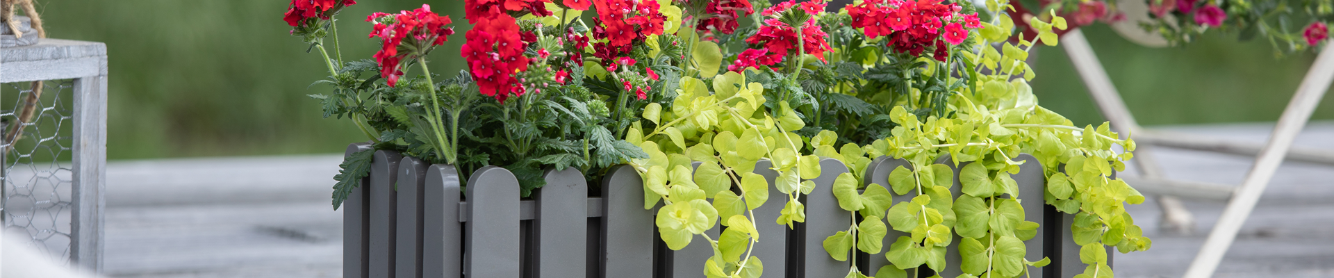 GS622986.jpg GS622986.jpg