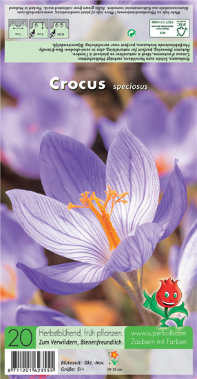 Pracht-Herbst-Krokus