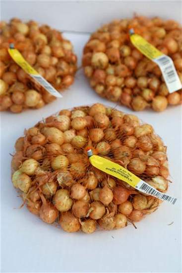 Speisezwiebel 'Radar'