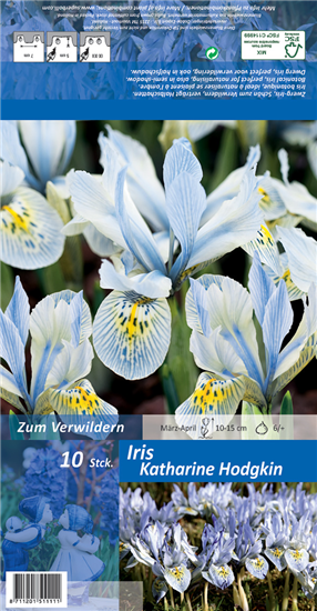 Zwerg-Iris 'Katherine Hodgkin'