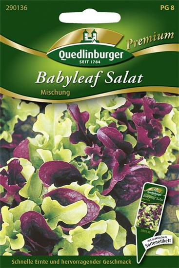 Babyleaf-Salat-Samen