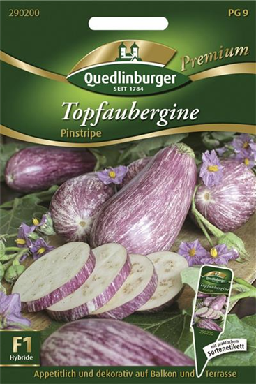 Auberginensamen 'Pinstripe F1'