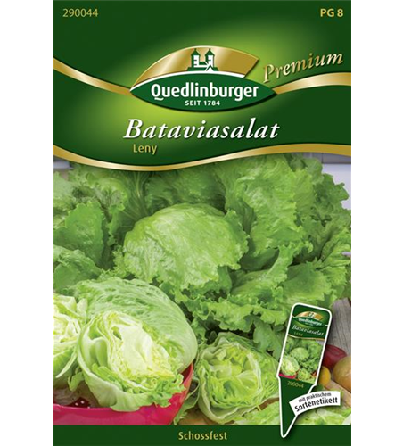 Batavia-Salat-Samen 'Leny'