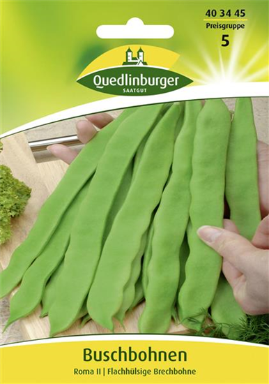 Buschbohnensamen 'Roma II'