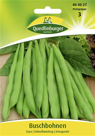 Buschbohnensamen 'Saxa'