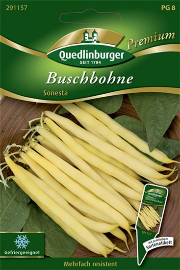 Buschbohnensamen 'Sonesta'