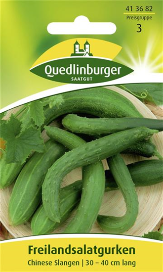 Gurkensamen 'Chinese Slangen'