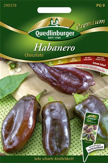 Habanerosamen 'Chocolate'