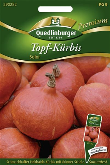 Hokkaidokürbissamen 'Solor'