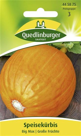 Kürbissamen 'Big Max'