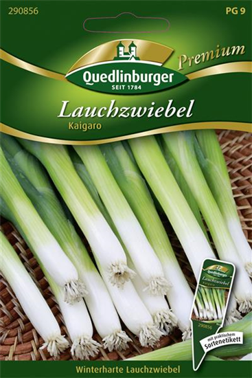 Lauchzwiebelsamen 'Kaigaro'