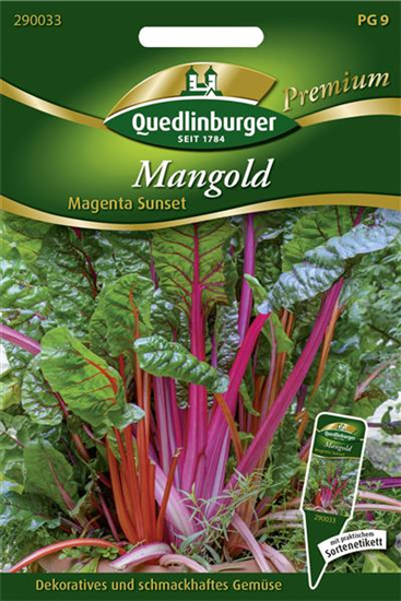 Mangoldsamen 'Magenta Sunset'