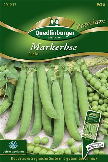 Markerbsensamen 'Costa'