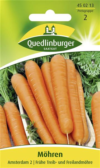 Möhrensamen 'Amsterdam 2'