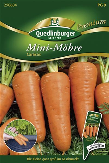 Möhrensamen 'Caracas'