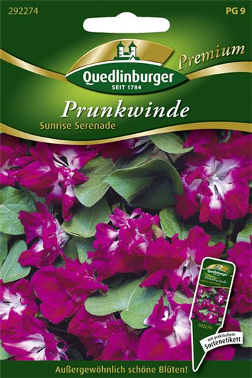 Prunkwindensamen 'Sunrise Serenade'