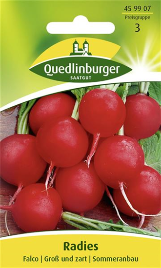 Radieschensamen 'Falco'