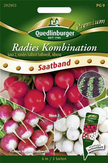 Radieschen-Kombination-Samen