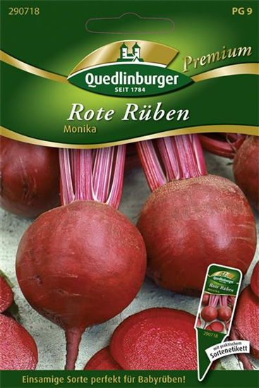 Rote Rübe-Samen 'Monika'