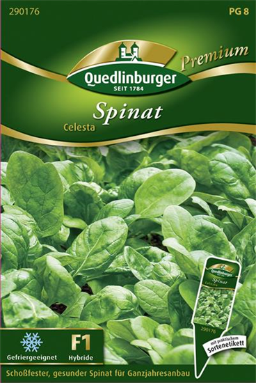 Spinatsamen 'Celesta'