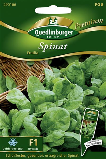 Spinatsamen 'Emilia'