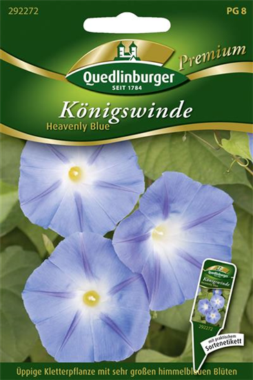 Trichterwindensamen 'Heavenly Blue'