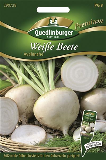 Weiße Bete-Samen 'Avalanche'