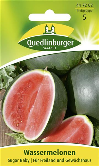 Wassermelonensamen 'Sugar Baby'