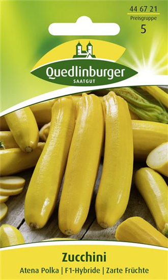 Zucchinisamen 'Atena Polka'
