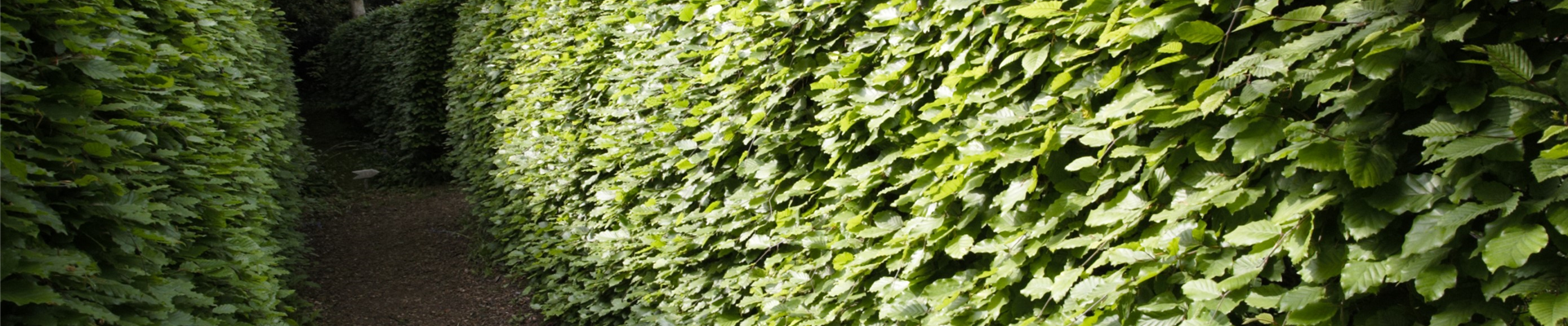 GS636931.jpg GS636931.jpg