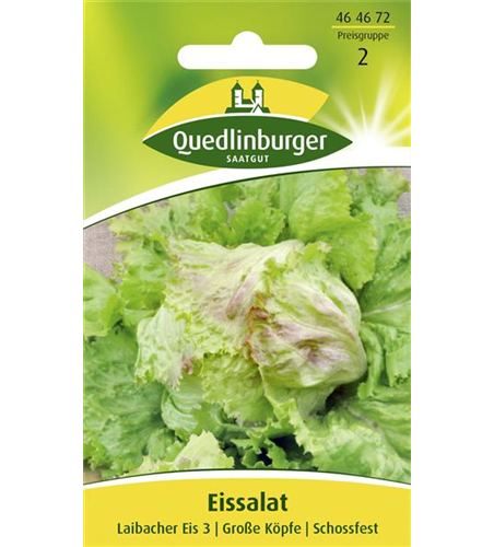 Batavia-Salat-Samen 'Laibacher Eis'