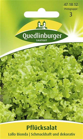 Blatt-Salat-Samen 'Lollo bionda'
