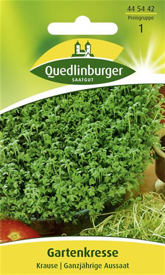 Gartenkressesamen 'Krause'