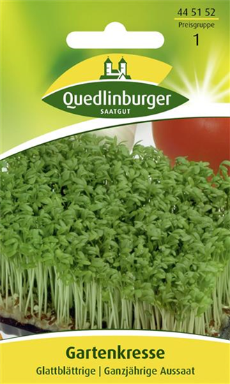 Glattblättrige Gartenkresse-Samen