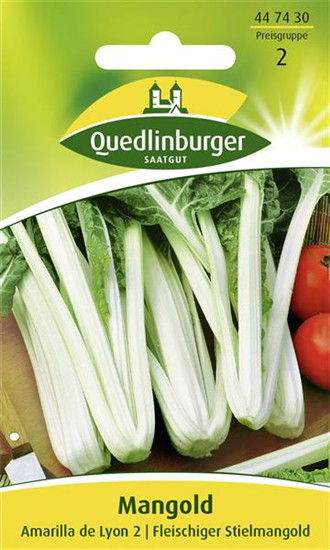 Mangoldsamen 'Amarilla de Lyon 2'