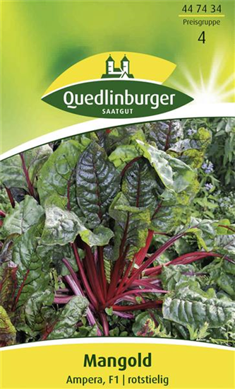 Mangoldsamen 'Ampera'