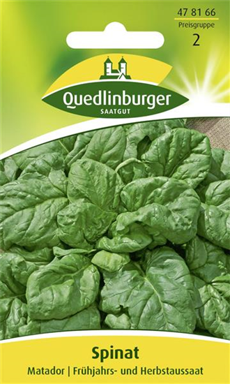 Spinatsamen 'Matador'