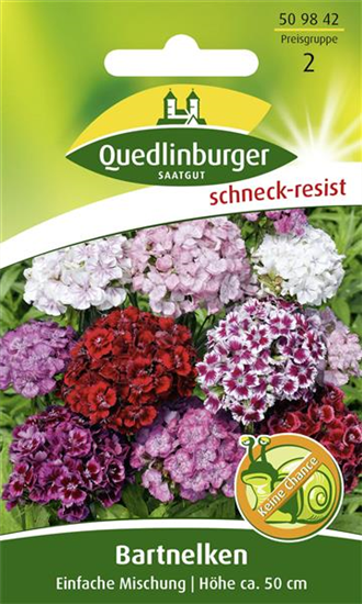 Bartnelkensamen 'Einfache Mischung'