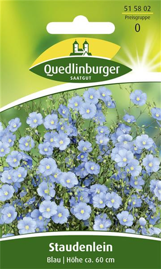 Ausdauernder Lein-Samen