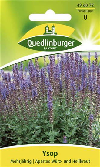 Apotheker-Ysop-Samen