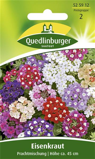 Eisenkrautsamen 'Prachtmischung'